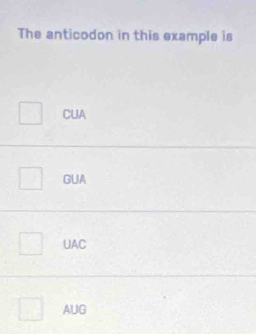 The anticodon in this example is
CUA
GUA
UAC
AUG