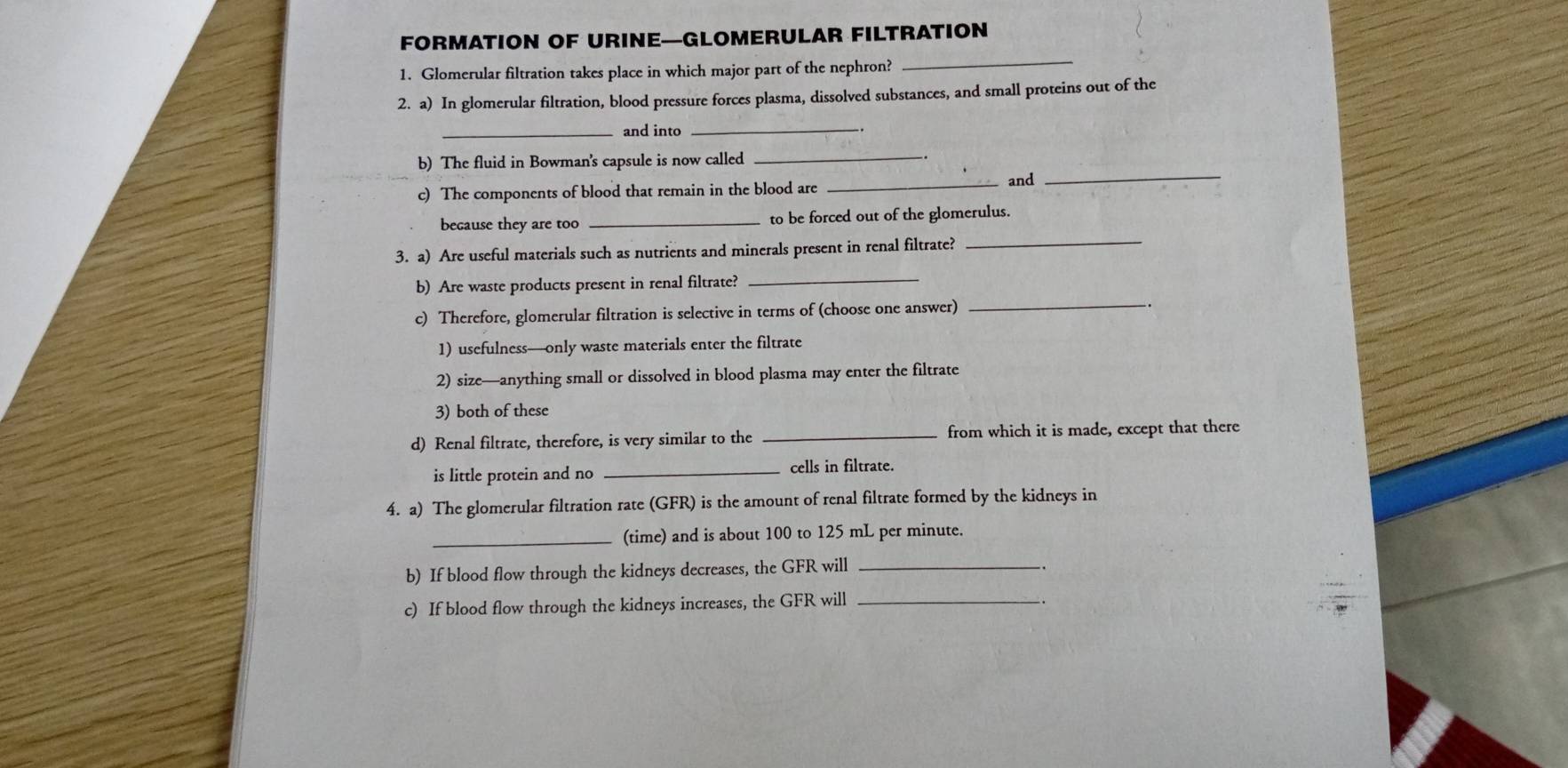 FORMATION OF URINE—GLOMERULAR FILTRATION
1. Glomerular filtration takes place in which major part of the nephron?
_
2. a) In glomerular filtration, blood pressure forces plasma, dissolved substances, and small proteins out of the
_and into_
b) The fluid in Bowman's capsule is now called_
c) The components of blood that remain in the blood are_
and_
because they are too _to be forced out of the glomerulus.
3. a) Are useful materials such as nutrients and minerals present in renal filtrate?_
b) Are waste products present in renal filtrate?_
c) Therefore, glomerular filtration is selective in terms of (choose one answer) __.
1) usefulness—only waste materials enter the filtrate
2) size—anything small or dissolved in blood plasma may enter the filtrate
3) both of these
d) Renal filtrate, therefore, is very similar to the _from which it is made, except that there
is little protein and no _ cells in filtrate.
4. a) The glomerular filtration rate (GFR) is the amount of renal filtrate formed by the kidneys in
_(time) and is about 100 to 125 mL per minute.
b) If blood flow through the kidneys decreases, the GFR will_
c) If blood flow through the kidneys increases, the GFR will_