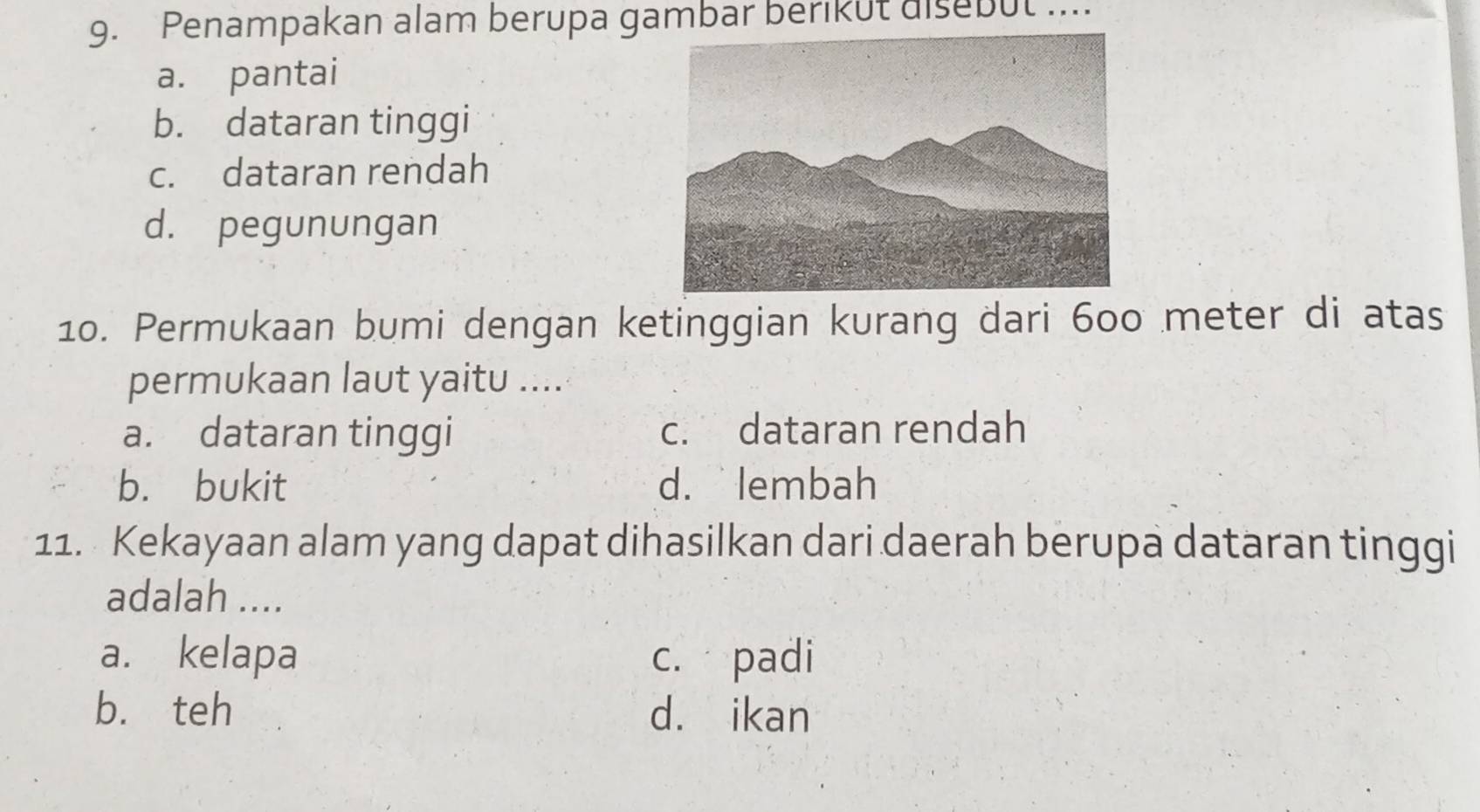 Penampakan alam berupa gambar berikut disebut ....
a. pantai
b. dataran tinggi
c. dataran rendah
d. pegunungan
10. Permukaan bumi dengan ketinggian kurang dari 600 meter di atas
permukaan laut yaitu ....
a. dataran tinggi c. dataran rendah
b. bukit d. lembah
11. Kekayaan alam yang dapat dihasilkan dari daerah berupa dataran tinggi
adalah ....
a. kelapa c. padi
b. teh d. ikan