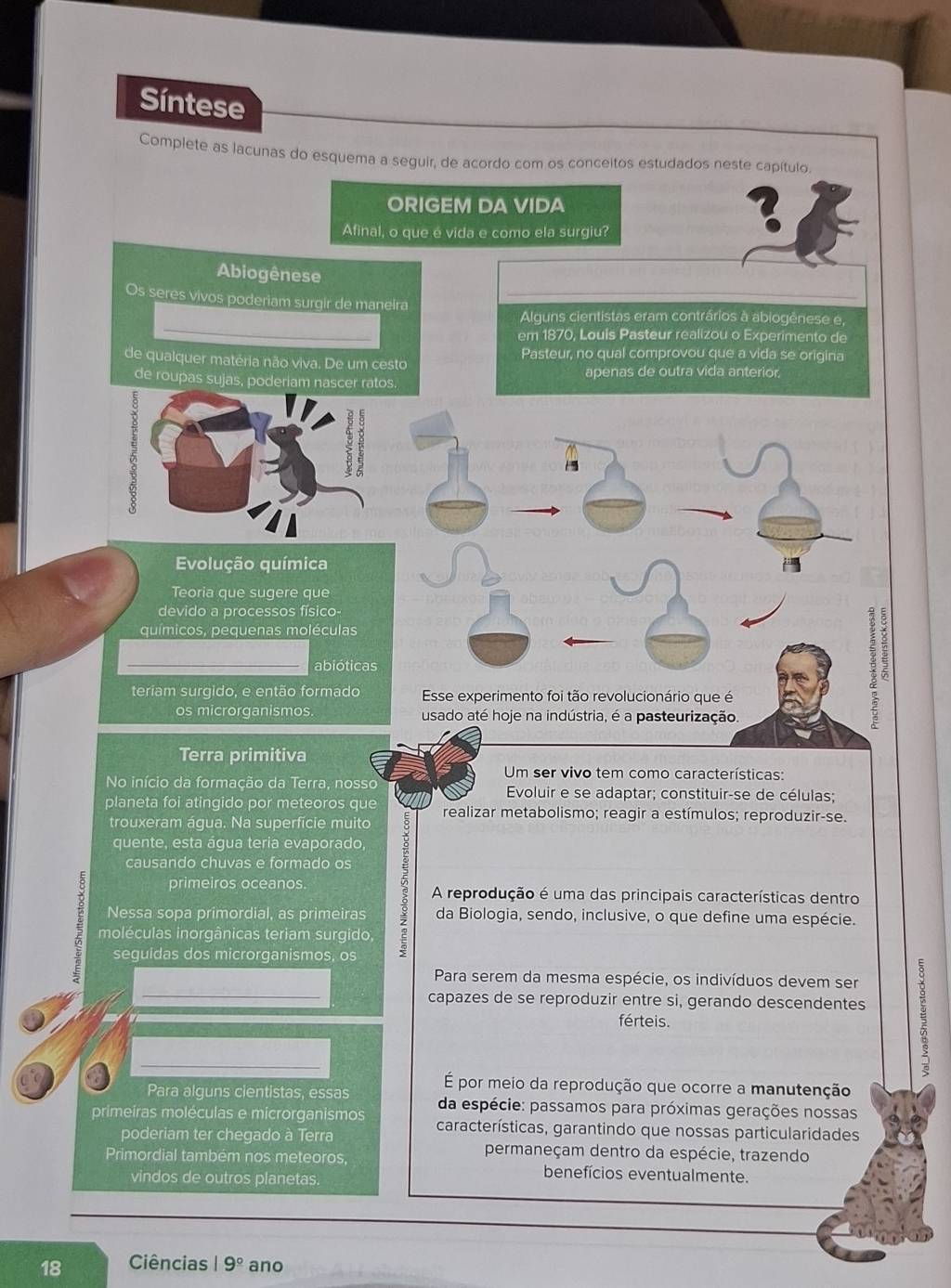 Síntese
Complete as lacunas do esquema a seguir, de acordo com os conceitos estudados neste capítulo
ORIGEM DA VIDA
Afinal, o que é vida e como ela surgiu?
?
Abiogênese
Os seres vivos poderiam surgir de maneira
_
Alquns cientistas eram contrários à abiogênese e,
em 1870, Louis Pasteur realizou o Experimento de
de qualquer matéria não viva. De um cesto Pasteur, no qual comprovou que a vida se origina
de roupas sujas, poderiam nascer ratos. apenas de outra vida anterior
Evolução química 
Teoria que sugere que
devido a processos físico-
químicos, pequenas moléculas
_
abióticas
teriam surgido, e então formado Esse experimento foi tão revolucionário que é
os microrganismos. usado até hoje na indústria, é a pasteurização.
Terra primitiva
Um ser vivo tem como características:
No início da formação da Terra, nosso  Evoluir e se adaptar; constituir-se de células;
planeta foi atingido por meteoros que realizar metabolismo; reagir a estímulos; reproduzir-se.
trouxeram água. Na superfície muito
quente, esta água teria evaporado,
causando chuvas e formado os
primeiros oceanos. : A reprodução é uma das principais características dentro
Nessa sopa primordial, as primeiras da Biologia, sendo, inclusive, o que define uma espécie.
moléculas inorgânicas teriam surgido,
seguidas dos microrganismos, os
Para serem da mesma espécie, os indivíduos devem ser
_capazes de se reproduzir entre si, gerando descendentes ξ
férteis.
É por meio da reprodução que ocorre a manutenção
Para alguns cientistas, essas da espécie: passamos para próximas gerações nossas
primeiras moléculas e microrganismos características, garantindo que nossas particularidades
poderiam ter chegado à Terra permaneçam dentro da espécie, trazendo
Primordial também nos meteoros, benefícios eventualmente.
vindos de outros planetas.
18 Ciências 19° ano