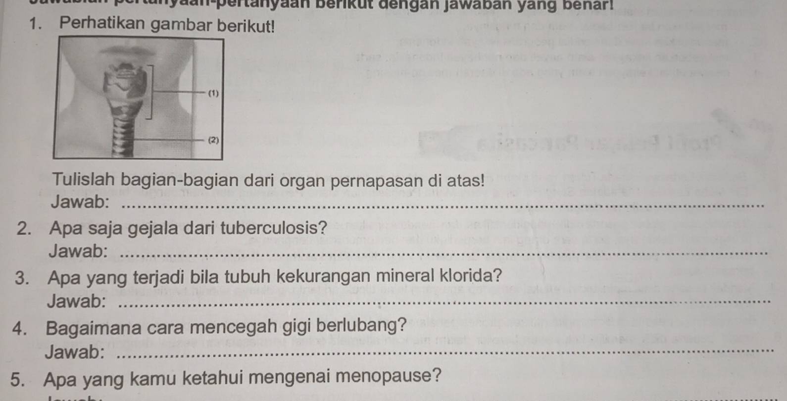 Jaan-pertänyaan berikut dengan jawabán yang benar! 
1. Perhatikan gambar berikut! 
Tulislah bagian-bagian dari organ pernapasan di atas! 
Jawab:_ 
2. Apa saja gejala dari tuberculosis? 
Jawab:_ 
3. Apa yang terjadi bila tubuh kekurangan mineral klorida? 
Jawab:_ 
_ 
4. Bagaimana cara mencegah gigi berlubang? 
Jawab: 
5. Apa yang kamu ketahui mengenai menopause?