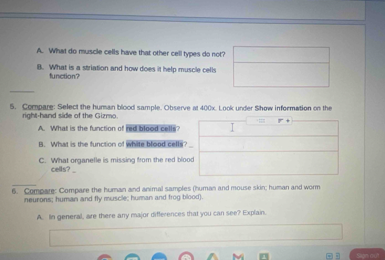 What do muscle cells have that other cell types do not? 
B. What is a striation and how does it help muscle cells 
function? 
5. Compare: Select the human blood sample. Observe at 400x. Look under Show information on the 
right-hand side of the Gizmo. - + 
::: 
A. What is the function of red blood cells? 
B. What is the function of white blood cells? 
C. What organelle is missing from the red blood 
cells? 
6. Compare: Compare the human and animal samples (human and mouse skin; human and worm 
neurons; human and fly muscle; human and frog blood). 
A. In general, are there any major differences that you can see? Explain. 
Sign out