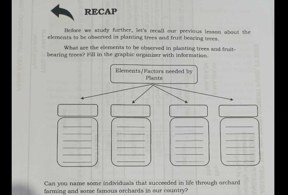 RECAP 
Before we study further, let's recall our previous lesson about the 
elements to be observed in planting trees and fruit bearing trees. 
What are the elements to be observed in planting trees and fruit- 
bearing trees? Fill in the graphic organizer with information. 
Elements/Factors needed by 
Plants 
__ 
__ 
__ 
__ 
__ 
_ 
_ 
__ 
__ 
__ 
_ 
_ 
_ 
_ 
__ 
Can you name some individuals that succeeded in life through orchard 
farming and some famous orchards in our country?