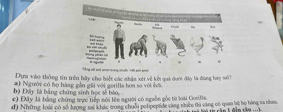 Số sánh thành phân các amino acid trong chuời polypeptide của Hemoglobin giữa
người và các động vật có xương sống khác
Loài Người Gorilla Khi Gà Ech
Rhesus Chuột
Số lượng
axit amin
sai khác
so với chuỗi
polipeptit
trong phân tử
Hemoglobin 21 45 67
ōngười 0 、 8
Tổng số axit amin trong chuỗi: 146 axit amin
Dựa vào thông tin trên hãy cho biết các nhận xét về kết quả dưới đây là đúng hay sai?
a) Người có họ hàng gần gũi với gorilla hơn so với ếch.
b) Đây là bằng chứng sinh học tế bào.
c) Đây là bằng chứng trực tiếp nói lên người có nguồn gốc từ loài Gorilla.
d) Những loài có số lượng sai khác trong chuỗi polipeptide càng nhiều thì càng có quan hệ họ hàng xa nhau.
ừ â u 1 đến câu ...).