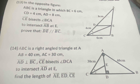 (13) In the opposite figure:
ABC is a triangle in which BC=6cm,
CD=4cm, AD=8cm,
vector CE bisects ∠ BCA
to intersect overline AB at E, 
prove that: overline DE//overline BC. 
(14) ABC is a right angled triangle at A
AB=40cm, AC=30cm,
overline AD⊥ overline BC, vector CE bisects ∠ DCA
to intersect overline AD at E, 
find the length of overline AE, overline ED, overline CE