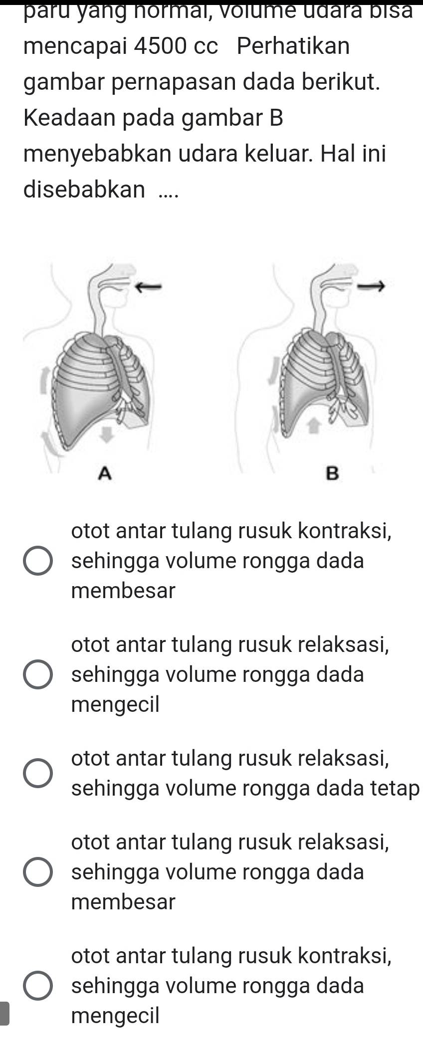 paru yang normal, volume udara bisa
mencapai 4500 cc Perhatikan
gambar pernapasan dada berikut.
Keadaan pada gambar B
menyebabkan udara keluar. Hal ini
disebabkan ....
otot antar tulang rusuk kontraksi,
sehingga volume rongga dada
membesar
otot antar tulang rusuk relaksasi,
sehingga volume rongga dada
mengecil
otot antar tulang rusuk relaksasi,
sehingga volume rongga dada tetap
otot antar tulang rusuk relaksasi,
sehingga volume rongga dada
membesar
otot antar tulang rusuk kontraksi,
sehingga volume rongga dada
mengecil