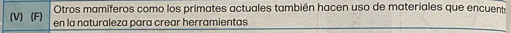 Otros mamíferos como los primates actuales también hacen uso de materiales que encuentr 
(V) (F) en la naturaleza para crear herramientas
