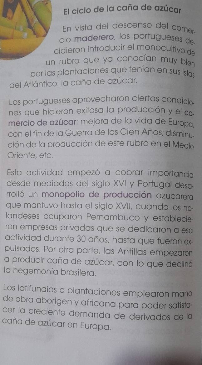 El ciclo de la caña de azúcar 
En vista del descenso del comer- 
cio maderero, los portugueses de 
cidieron introducir el monocultivo de 
un rubro que ya conocían muy bienn 
por las plantaciones que tenían en sus islas 
del Atlántico: la caña de azúcar, 
Los portugueses aprovecharon ciertas condicio 
nes que hicieron exitosa la producción y el c 
mercio de azúcar: mejora de la vida de Europa, 
con el fin de la Guerra de los Cien Años; disminu- 
ción de la producción de este rubro en el Medio 
Oriente, etc. 
Esta actividad empezó a cobrar importancia 
desde mediados del siglo XVI y Portugal desa- 
rrolló un monopolio de producción azucarera 
que mantuvo hasta el siglo XVII, cuando los ho- 
landeses ocuparon Pernambuco y establecie 
ron empresas privadas que se dedicaron a esa 
actividad durante 30 años, hasta que fueron ex- 
pulsados. Por otra parte, las Antillas empezaron 
a producir caña de azúcar, con lo que declinó 
la hegemonía brasilera. 
Los latifundios o plantaciones emplearon man0 
de obra aborigen y africana para poder satisfa- 
cer la creciente demanda de derivados de la 
caña de azúcar en Europa.