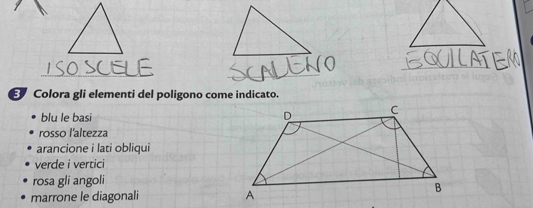 Colora gli elementi del poligono come indicato.
blu le basi
rosso l’altezza
arancione i lati obliqui
verde i vertici
rosa gli angoli
marrone le diagonali