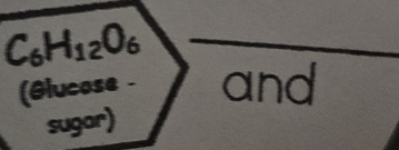 C_6H_12O_6
(Glucose - and 
sugor)