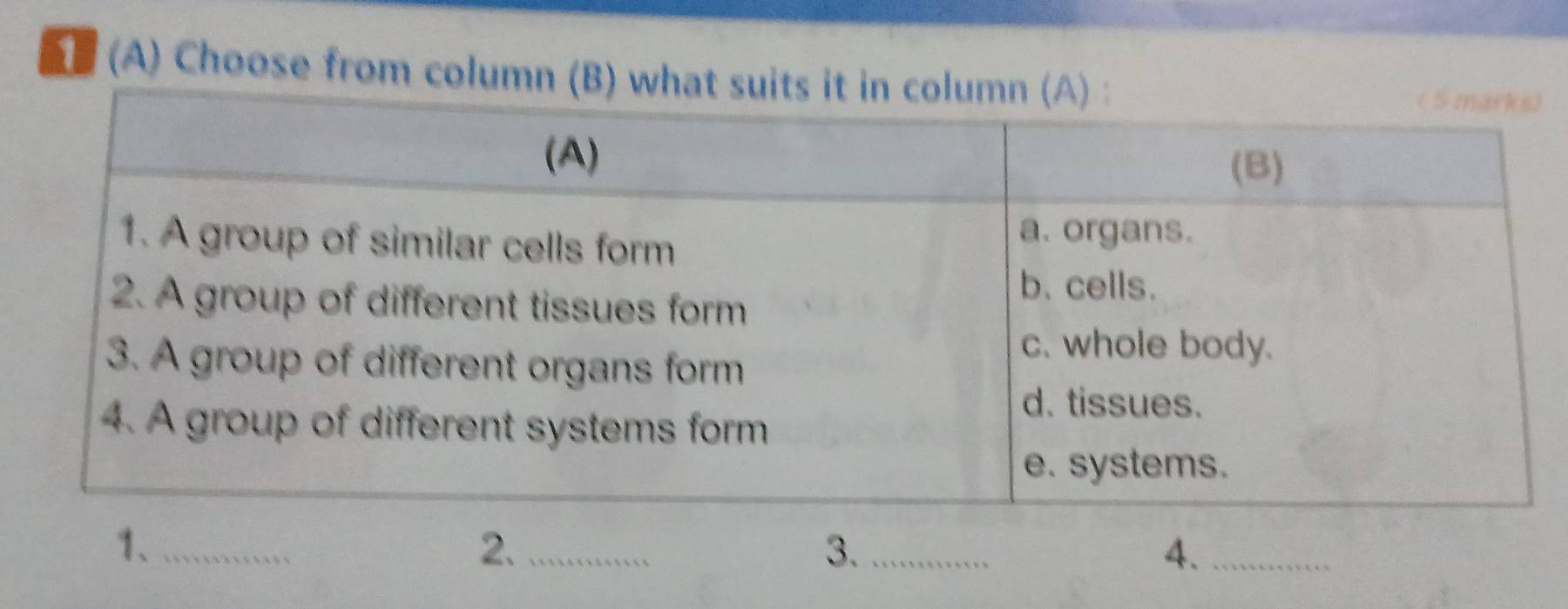 Choose from column (B) w 
1、_ 
2._ 
3._ 
4._