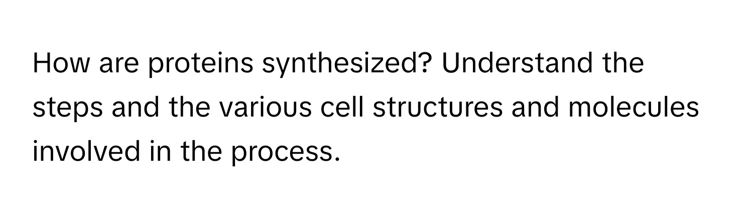 How are proteins synthesized? Understand the steps and the various cell structures and molecules involved in the process.