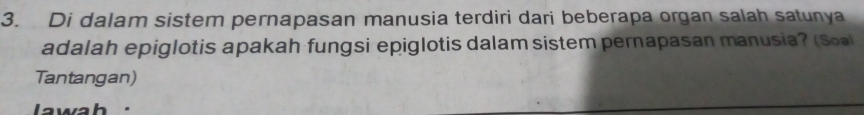 Di dalam sistem pernapasan manusia terdiri dari beberapa organ salah satunya 
adalah epiglotis apakah fungsi epiglotis dalam sistem pernapasan manusia? (Soal 
Tantangan) 
lawah