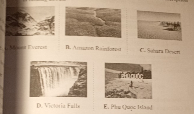 a Mount Everest B. Amazon Rainforest C. Sahara Desert
D. Victoria Falls E. Phu Quọc Island