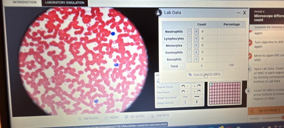 INTRODUCTION LABORATORY SIMULATION 
PHASE 4: 
ab Data - x Microscope differe 
count 
Complete the following 
again 
Turn objective to 40X
again 
slide Move to upper-left co 
Open Lab Data Count 
How to Haptify WBCs of WBC in each region 
by clicking correspon 
buttons in Lab Data. 
Coarse focus 
cus Count 50 WBCs in tot 
orizontal arrow buttons to move 
Stage vertical 1 regions of slide 
TA GO TO PHASE 3
h nd/wbc-count/sim |altVindexhtm