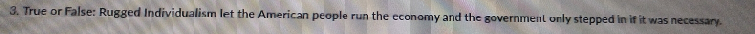 True or False: Rugged Individualism let the American people run the economy and the government only stepped in if it was necessary.