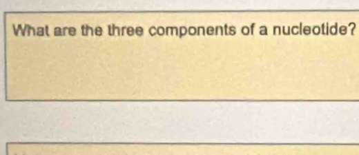 What are the three components of a nucleotide?