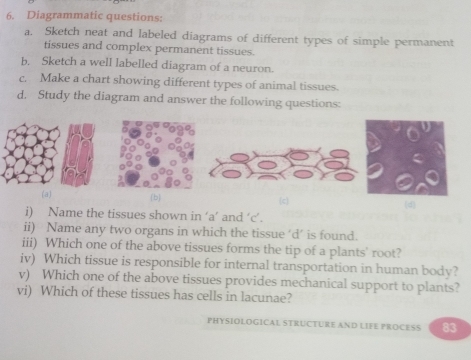 Solved: Diagrammatic questions: a. Sketch neat and labeled diagrams of ...
