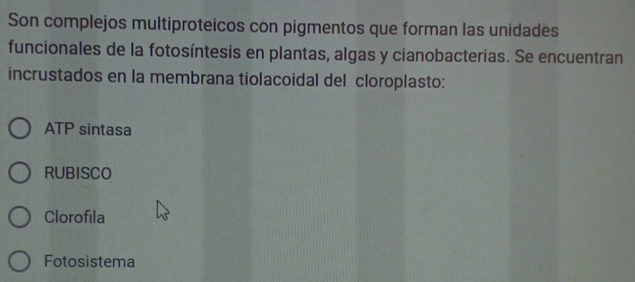 Son complejos multiproteicos con pigmentos que forman las unidades
funcionales de la fotosíntesis en plantas, algas y cianobacterias. Se encuentran
incrustados en la membrana tiolacoidal del cloroplasto:
ATP sintasa
RUBISCO
Clorofila
Fotosistema