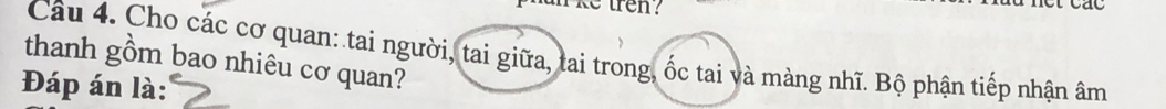 ke tren ? 
Câu 4. Cho các cơ quan: tai người, tai giữa, tai trong, ốc tai và màng nhĩ. Bộ phận tiếp nhận âm 
thanh gồm bao nhiêu cơ quan? 
Đáp án là: