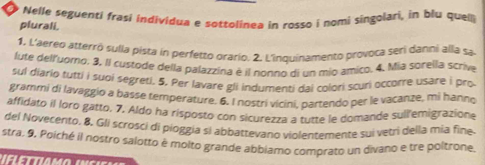 Nelle seguenti frasi individua e sottolínea in rosso i nomi singolari, in blu quelli 
plurali. 
1. L'aereo atterrô sulla pista in perfetto orario. 2. L'inquinamento provoca seri danni alla sa 
lute dell'uomo. 3. Il custode della palazzina è il nonno di un mio amico. 4. Mia sorella scrive 
sul diario tuttí i suoi segreti. 5. Per lavare gli indumenti dai colori scuri occorre usare i pro 
grammi di lavaggio a basse temperature, 6. I nostri vicini, partendo per le vacanze, mi hanno 
affidato il loro gatto. 7. Aldo ha risposto con sicurezza a tutte le domande sull'emigrazione 
del Novecento. 8. Gli scrosci di pioggia si abbattevano violentemente sui vetri della mia fine 
stra. 9. Poiché il nostro salotto è molto grande abbiamo comprato un divano e tre poltrone.