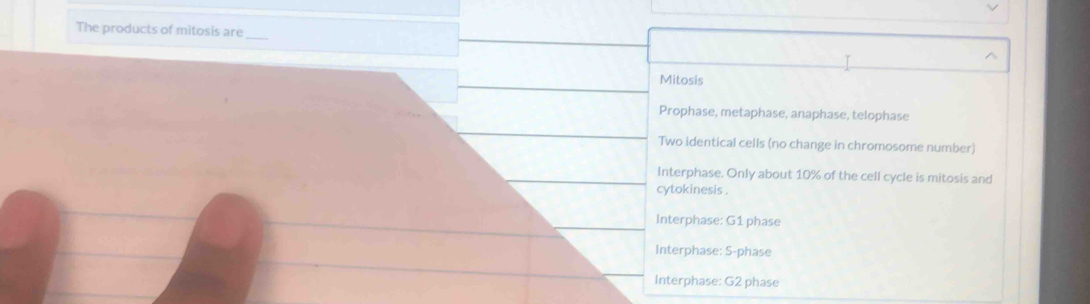 The products of mitosis are
Mitosis
Prophase, metaphase, anaphase, telophase
Two identical cells (no change in chromosome number)
Interphase. Only about 10% of the cell cycle is mitosis and
cytokinesis .
Interphase: G1 phase
Interphase: S-phase
Interphase: G2 phase