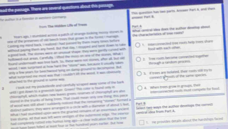 lead the passage. There are several questions about this passage.
the auttor is a forester in western Germany. This queition has two parts. Answer Part A, and then
answer Part B.
from The Hidden Life of Trwen
Part A
Years ago, I stumbled acress a palch of strange-looking mony sones in what central idea does the author develop about.
one of the preserves of old beech treen that groves in the formt i manage the characteristics of tree roots?
Casting my mind back, I reakzed I had passed by them imany times befive
without paying them any heed. But that day, I stopped and bent down to take 1. interconnected tree roots help trees share
a good look. The stones were an unusual shape, they were gently cuved with food with each oxher.
hollowed out areas. Carefully, I lifted the mass on one of the stones. What I
fouand underneath was bree bark. Ss, these were not stones, affter all, but old
wood, I was surprised at how hard the "stone" was, because it usually takes 2. Tree roots become connected together
only a few years for beechwood lying on damp ground to decompose. But through a random process.
what surprised me most was that I couldn't lft the wood. It was oovously 3. if trees are isolated, their roots still try to
attached to the ground in some eay . connect tegoots of the same species.
2 I took out my pocketknfe and carefully scraped away some of the bark
unitl I got down io a greenish layer. Green? This color is found only in 4. When trees grow in groups, their
chlorophyll, which makes new leaves green, reserves of chiorophyll are also
stored in the trunks of living trees. That could mean only one thing; this piece interconnected roots must compete far food.
of wood was still allivet I suddenly notticed tat the remaining "stones" formed a
ditinct pattem; they were aranged in a circle with a dameter of about 5 feet. Part B
what i had stumbled upon were the grarlist remains of an enormous ancient Select two ways the author develops the correct
tree stump. All that was left were vestiges of the outermont edge. The interior central idea from Part A.
had completely rotted into humus long ago--a clear indication that the tree
mynt have been felled at least four or five hurnfred years earker. But how 1. He provides details about the hardships faced