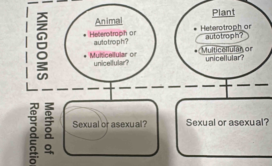 Sexual or asexual?