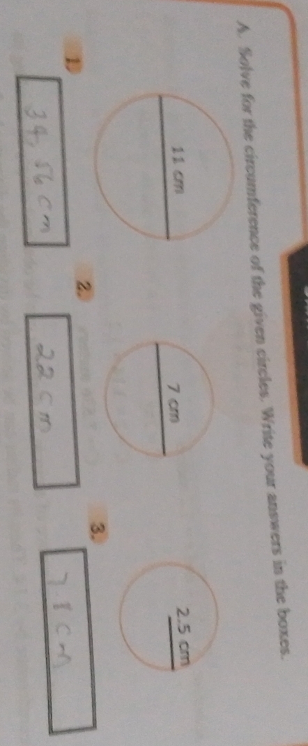 Solve for the circumference of the given circles. Write your answers in the boxes. 
3. 
1 
2.