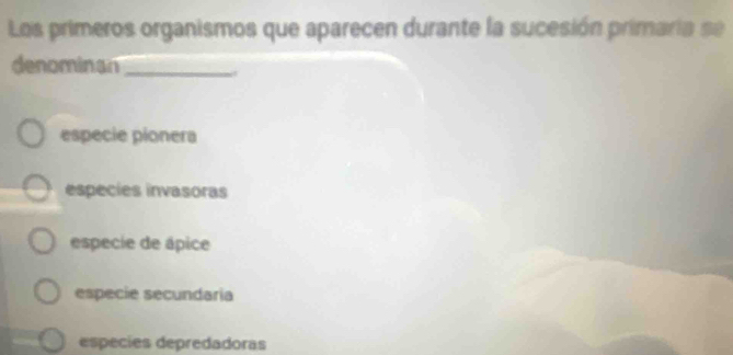 Los primeros organismos que aparecen durante la sucesión primaria se
denominan_
,
especie pionera
especies invasoras
especie de ápice
especie secundaria
especies depredadoras