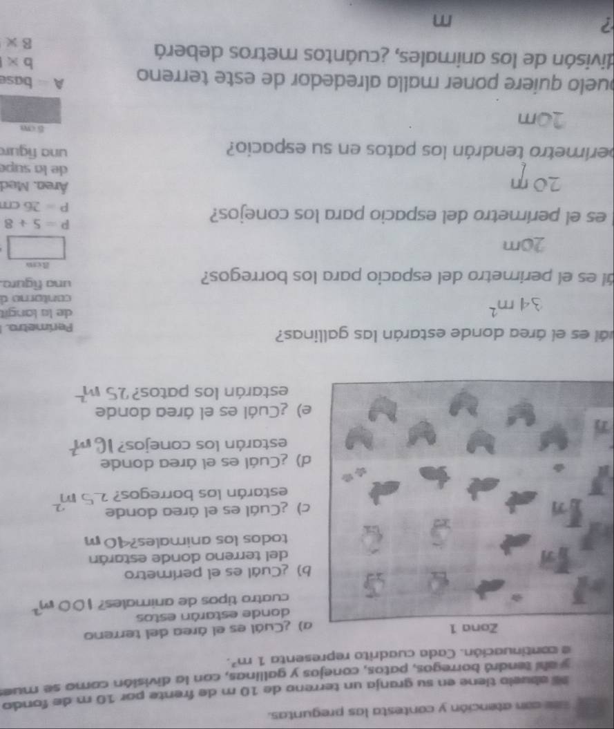 con atención y contesta las preguntas. 
abuelo tiene en su granja un terreno de 10 m de frente por 10 m de fondo 
y ahí tendrá borregos, patos, conejos y gallinas, con la división como se mues 
continuación. Cada cuadrito representa 1m^2. 
¿Cuál es el área del terreno 
donde estarán estos 
cuatro tipos de animales? 
¿Cuál es el perímetro 
del terreno donde estarán 
todos los animales? 4( 
¿Cuál es el área donde 
estarán los borregos? 
¿Cuál es el área donde 
estarán los conejos? 
B 
¿Cuál es el área donde 
estarán los patos? 
vál es el área donde estarán las gallinas? 
Perimetro. 
de la langit 
contore d 
ál es el perimetro del espacio para los borregos? una figuro. 
Rcm 

es el perímetro del espacio para los conejos?
P=5+8
P=26 cm
Área. Med 
de la supé 
perímetro tendrán los patos en su espacio? 
una figur
10m
5m
quelo quiere poner malla alrededor de este terreno 
A base 
divisón de los animales, ¿cuántos metros deberá
b*
B*  
?
m