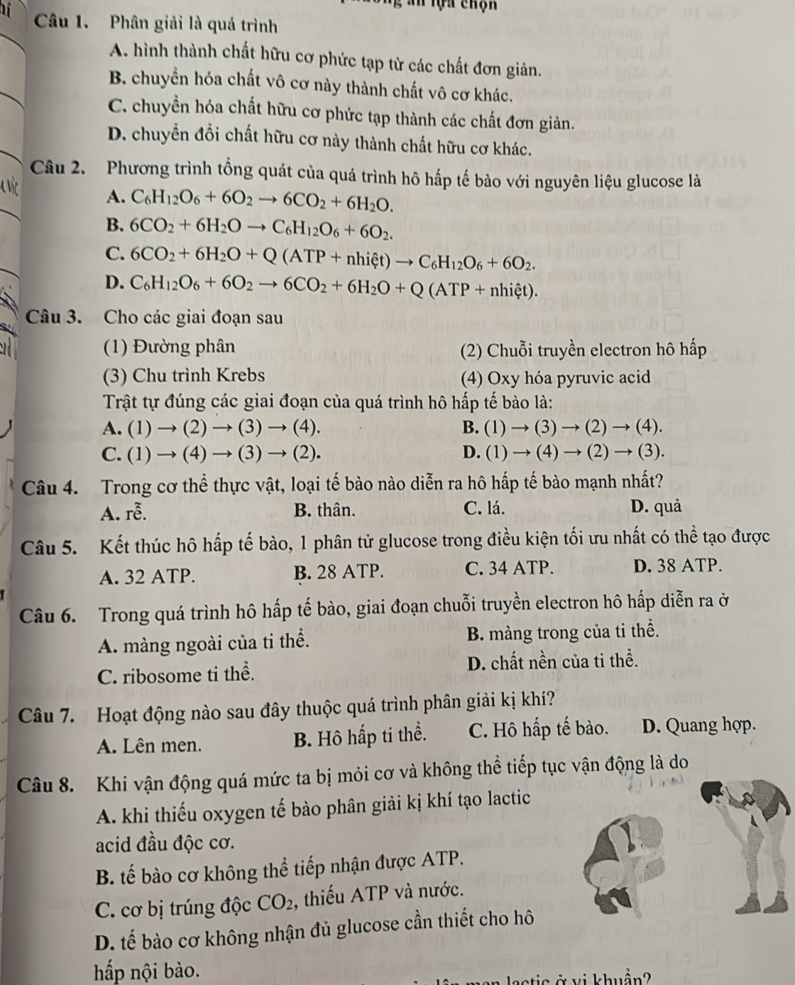 An tựa chọn
Câu 1. Phân giải là quá trình
A. hình thành chất hữu cơ phức tạp từ các chất đơn giản.
B. chuyền hóa chất vô cơ này thành chất vô cơ khác.
C. chuyển hóa chất hữu cơ phức tạp thành các chất đơn giản.
D. chuyển đổi chất hữu cơ này thành chất hữu cơ khác.
Câu 2. Phương trình tổng quát của quá trình hô hấp tế bảo với nguyên liệu glucose là
A. C_6H_12O_6+6O_2to 6CO_2+6H_2O.
B. 6CO_2+6H_2Oto C_6H_12O_6+6O_2.
C. 6CO_2+6H_2O+Q(ATP+nhiet)to C_6H_12O_6+6O_2.
D. C_6H_12O_6+6O_2to 6CO_2+6H_2O+Q(ATP+nhihat et).
Câu 3. Cho các giai đoạn sau
(1) Đường phân (2) Chuỗi truyền electron hô hấp
(3) Chu trình Krebs (4) Oxy hóa pyruvic acid
Trật tự đúng các giai đoạn của quá trình hô hấp tế bào là:
A. (1)to (2)to (3)to (4). B. (1)to (3)to (2)to (4).
C. (1)to (4)to (3)to (2). D. (1)to (4)to (2)to (3).
Câu 4. Trong cơ thể thực vật, loại tế bào nào diễn ra hô hấp tế bào mạnh nhất?
A. rễ. B. thân. C. lá. D. quả
Câu 5. Kết thúc hô hấp tế bào, 1 phân tử glucose trong điều kiện tối ưu nhất có thể tạo được
A. 32 ATP. B. 28 ATP. C. 34 ATP. D. 38 ATP
Câu 6. Trong quá trình hô hấp tế bào, giai đoạn chuỗi truyền electron hô hấp diễn ra ở
A. màng ngoài của tỉ thể. B. màng trong của tỉ thể.
C. ribosome ti thể. D. chất nền của ti thể.
Câu 7. Hoạt động nào sau đây thuộc quá trình phân giải kị khí?
A. Lên men. B. Hô hấp ti thể. C. Hô hấp tế bào. D. Quang hợp.
Câu 8. Khi vận động quá mức ta bị mỏi cơ và không thể tiếp tục vận động là do
A. khi thiếu oxygen tế bào phân giải kị khí tạo lactic
acid đầu độc cơ.
B. tế bào cơ không thể tiếp nhận được ATP.
C. cơ bị trúng độc CO_2 , thiếu ATP và nước.
D. tế bào cơ không nhận đủ glucose cần thiết cho hô
hấp nội bào.
eis   vi khuẩn