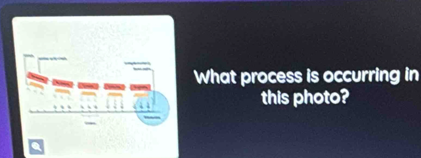 What process is occurring in 
this photo?