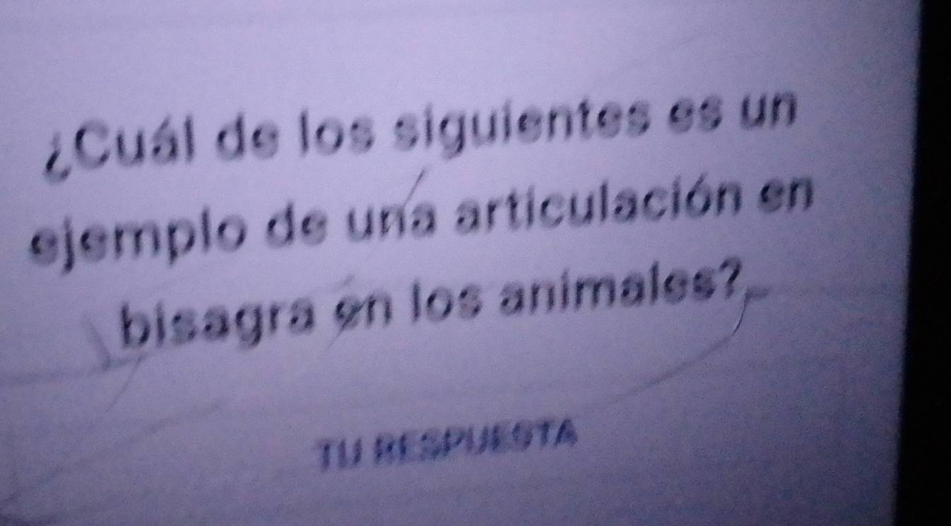 ¿Cuál de los siguientes es un 
ejemplo de una articulación en 
bisagra en los animales? 
TU RESPUESTA