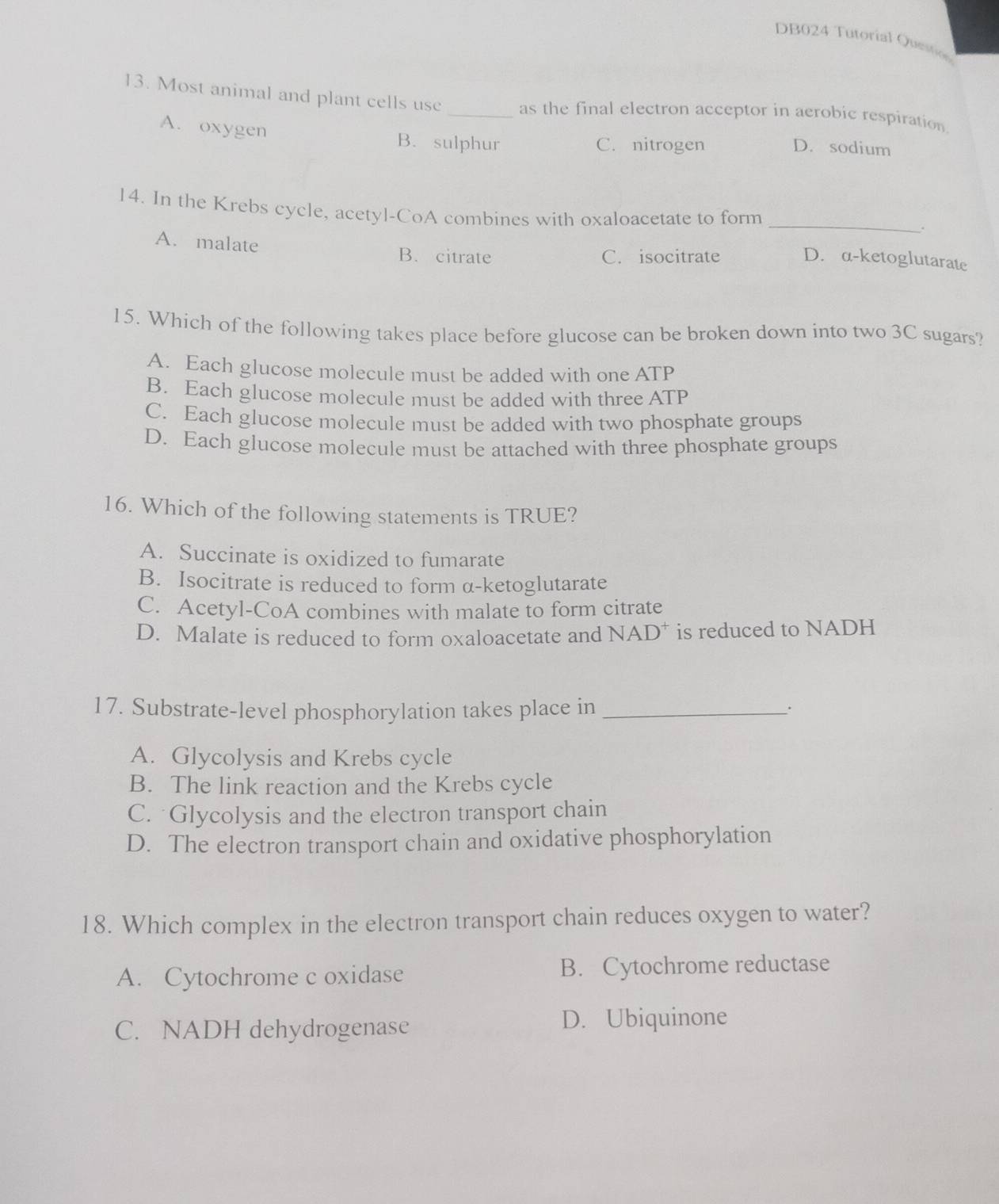 DB024 Tutorial Question
13. Most animal and plant cells use _as the final electron acceptor in aerobic respiration.
A. oxygen B. sulphur
C. nitrogen D. sodium
_
14. In the Krebs cycle, acetyl-CoA combines with oxaloacetate to form
A. malate
B. citrate C. isocitrate D. α-ketoglutarate
15. Which of the following takes place before glucose can be broken down into two 3C sugars?
A. Each glucose molecule must be added with one ATP
B. Each glucose molecule must be added with three ATP
C. Each glucose molecule must be added with two phosphate groups
D. Each glucose molecule must be attached with three phosphate groups
16. Which of the following statements is TRUE?
A. Succinate is oxidized to fumarate
B. Isocitrate is reduced to form α-ketoglutarate
C. Acetyl-CoA combines with malate to form citrate
D. Malate is reduced to form oxaloacetate and NAD is reduced to NADH
17. Substrate-level phosphorylation takes place in_
.
A. Glycolysis and Krebs cycle
B. The link reaction and the Krebs cycle
C. Glycolysis and the electron transport chain
D. The electron transport chain and oxidative phosphorylation
18. Which complex in the electron transport chain reduces oxygen to water?
A. Cytochrome c oxidase B. Cytochrome reductase
C. NADH dehydrogenase
D. Ubiquinone