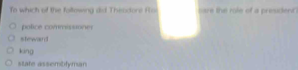 To which of the following did Theodors Rol sare the mole of a president
police commissioner
steward
king
state assemblyman