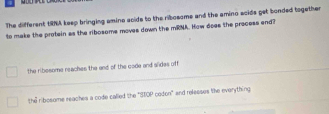 The different tRNA keep bringing amino acids to the ribosome and the amino acids get bonded together
to make the protein as the ribosome moves down the mRNA. How does the process end?
the ribosome reaches the end of the code and slides off
the ribosome reaches a code called the "STOP codon" and releases the everything