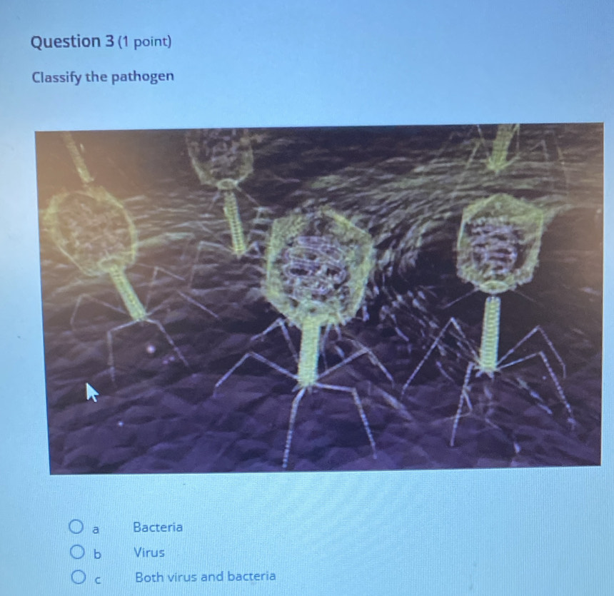 Classify the pathogen
a Bacteria
b Virus
C Both virus and bacteria