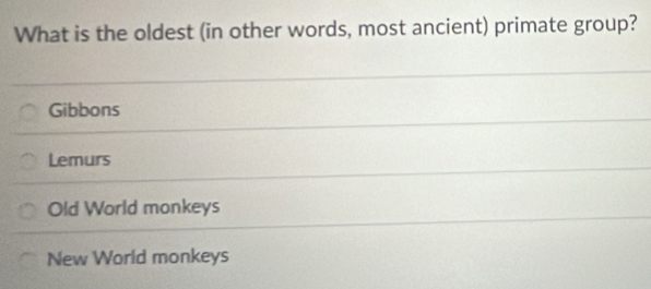 What is the oldest (in other words, most ancient) primate group?
Gibbons
Lemurs
Old World monkeys
New World monkeys