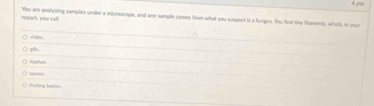 You are analyzing samples under a microscope, and one sample comes from what you suspect is a fungus. You find tny flaments, which, in your
report, you call
chitio.
gilx.
hyphae.
spores
Puiting bodies.