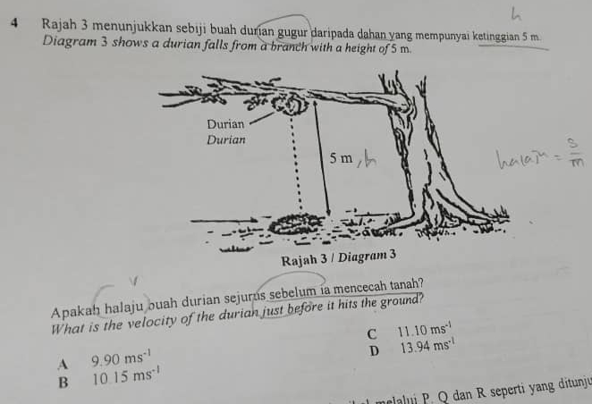 Rajah 3 menunjukkan sebiji buah durian gugur daripada dahan yang mempunyai ketinggian 5 m
Diagram 3 shows a durian falls from a branch with a height of 5 m
Apakah halaju ouah durian sejurus sebelum ia mencecah tanah?
What is the velocity of the durian just before it hits the ground?
C 11.10ms^(-1)
A 9.90ms^(-1)
D 13.94ms^(-1)
B 10.15ms^(-1)
ncl Q dan R seperti yang ditunju