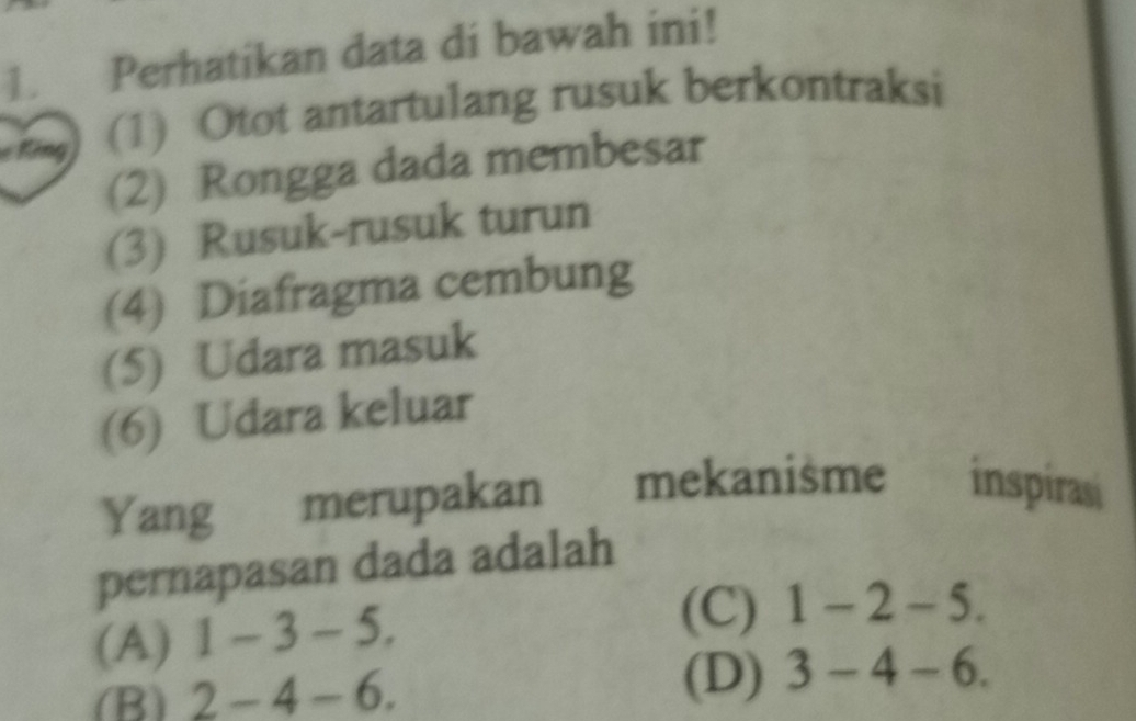 Perhatikan data di bawah ini!
e King (1) Otot antartulang rusuk berkontraksi
(2) Rongga dada membesar
(3) Rusuk-rusuk turun
(4) Diafragma cembung
(5) Udara masuk
(6) Udara keluar
Yang merupakan mekanisme inspiras
pernapasan dada adalah
(A) 1-3-5.
(C) 1-2-5.
(B) 2-4-6.
(D) 3-4-6.