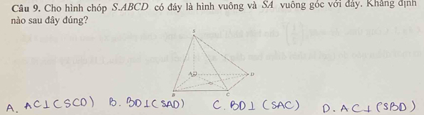 Cho hình chóp S. ABCD có đáy là hình vuông và SA vuông góc với đảy. Khẳng định 
nào sau đây đúng?