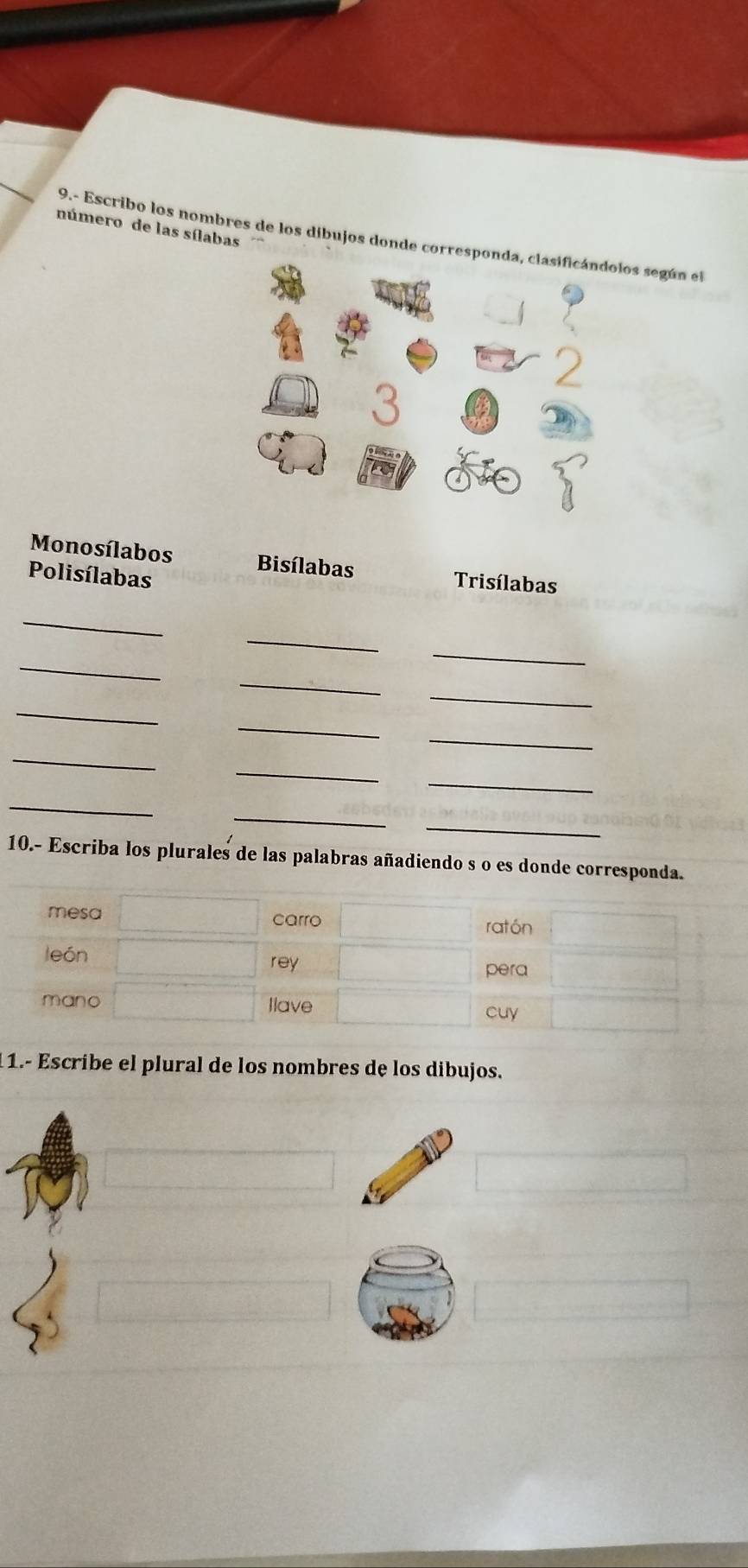 número de las sílabas 
9.- Escribo los nombres de los dibujos donde cos según el 
Monosílabos Bisílabas Trisílabas 
Polisílabas 
_ 
_ 
_ 
_ 
_ 
_ 
_ 
_ 
_ 
_ 
_ 
_ 
_ 
_ 
_ 
10.- Escriba los plurales de las palabras añadiendo s o es donde corresponda. 
11.º Escribe el plural de los nombres de los dibujos.