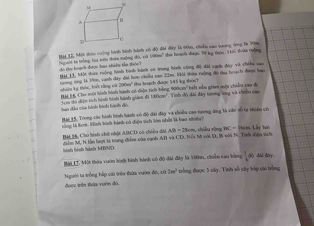A
B
D
C
Bài 12. Một thửa ruộng hình bình hành có độ dài đáy là 60m, chiều cao tương ứng là 30m.
Người ta trồng lúa trên thửa ruộng đó, cứ 100m^2 thu hoạch được 70 kg thóc. Hỏi thửa ruộng
đó thu hoạch được bao nhiêu tấn thóc?
Bài 13. Một thửa ruộng hình bình hành có trung bình cộng độ dài cạnh đáy và chiều cao
tương ứng là 39m, cạnh đáy dài hơn chiều cao 22m. Hỏi thửa ruộng đó thu hoạch được bao
nhiêu kg thóc, biết rằng cứ 200m^2 thu hoạch được 145 kg thóc?
Bài 14. Cho một hình bình hành có diện tích bằng 900cm^2 biết nếu giảm một chiều cao đi
5cm thì diện tích hình bình hành giảm đi 180cm^2. Tính độ dài đáy tương ứng và chiều cao
ban đầu của hình bình hành đó.
Bài 15. Trong các hình bình hành có độ dài đáy và chiều cao tương ứng là các số tự nhiên có
tổng là 8cm. Hình bình hành có diện tích lớn nhất là bao nhiêu?
Bài 16. Cho hình chữ nhật ABCD có chiều dài AB=28cm , chiều rộng BC=16cm. Lấy hai
diểm M, N lần lượt là trung điểm của cạnh AB và CD. Nối M với D, B với N. Tính diện tích
hình bình hành MBND.
Bài 17. Một thửa vườn hình bình hành có độ dài đáy là 100m, chiều cao bằng  1/4  độ dài đáy.
Người ta trồng bắp cải trên thửa vườn đó, cứ 2m^2 trồng được 3 cây. Tính số cây bắp cải trồng
được trên thửa vườn đó.