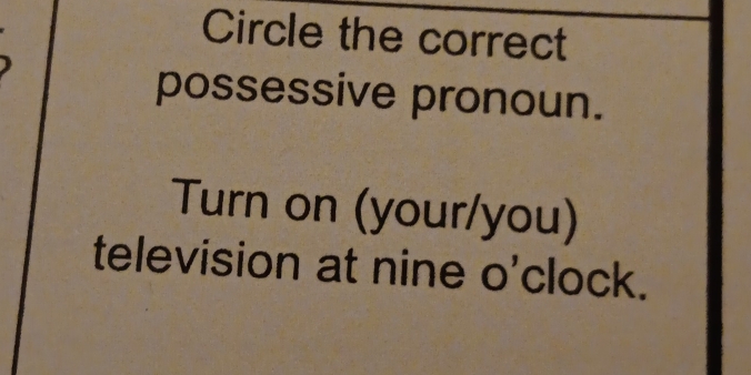 Circle the correct 
possessive pronoun. 
Turn on (your/you) 
television at nine o'clock.