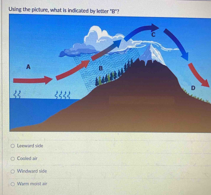 Using the picture, what is indicated by letter "B"?
Leeward side
Cooled air
Windward side
Warm moist air