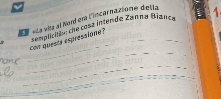 La«La vita al Nord era l’incarnazione della 
1. 
a semplicità»: che cosa intende Zanna Bianca 
_ 
_con questa espressione? 
_ 
_