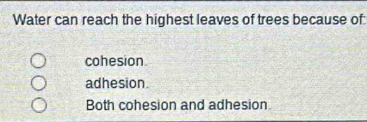 Water can reach the highest leaves of trees because of:
cohesion
adhesion.
Both cohesion and adhesion