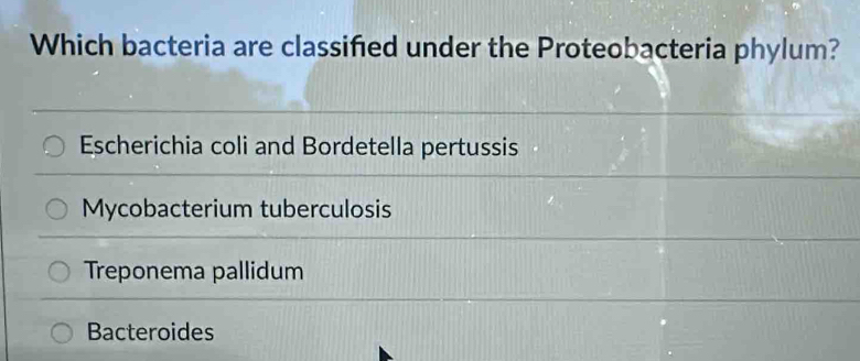 Which bacteria are classified under the Proteobacteria phylum?
Escherichia coli and Bordetella pertussis
Mycobacterium tuberculosis
Treponema pallidum
Bacteroides